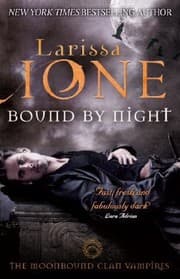 Tapa de Bound by Night