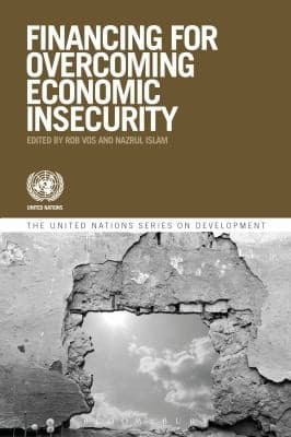 Tapa de Development Financing Economic Insecurity