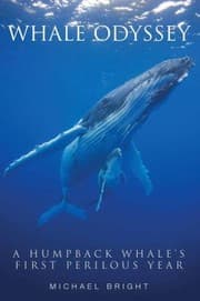Tapa de Whale Odyssey A Humpback Whales First Perilous Year