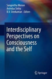 Tapa de Interdisciplinary Perspectives On Consciousness And The Self