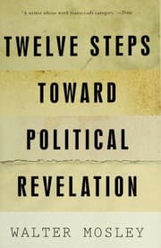 Tapa de Twelve steps toward political revelation