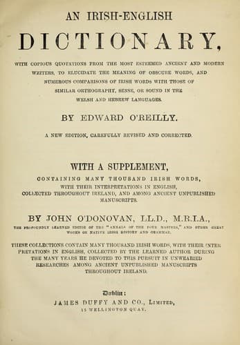 Tapa de An Irish-English dictionary