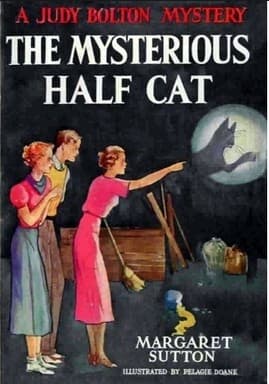 Tapa de The mysterious half cat