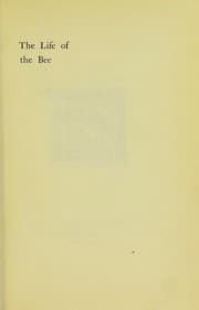 Tapa de The life of the bee