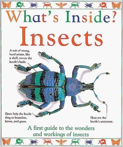 Tapa de Insects
