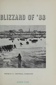 Tapa de The blizzard of '88