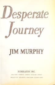 Tapa de Desperate journey