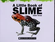 Tapa de A little book of slime