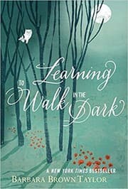 Tapa de Learning to walk in the dark
