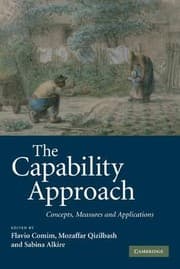 Tapa de The capability approach: concepts, measures and applications