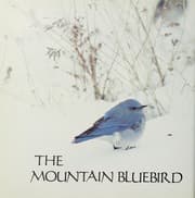 Tapa de The mountain bluebird