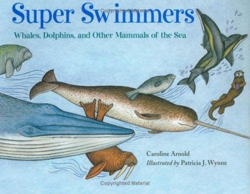Tapa de Super Swimmers