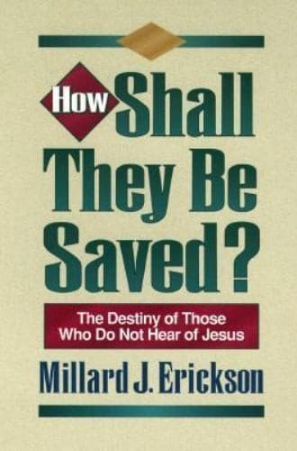 Tapa de How shall they be saved?