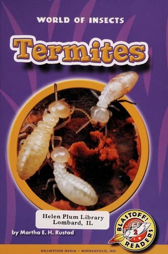 Tapa de Termites