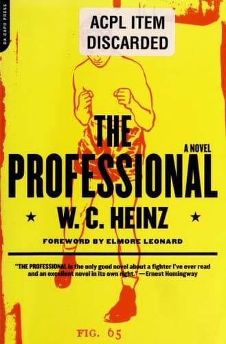 Tapa de The professional