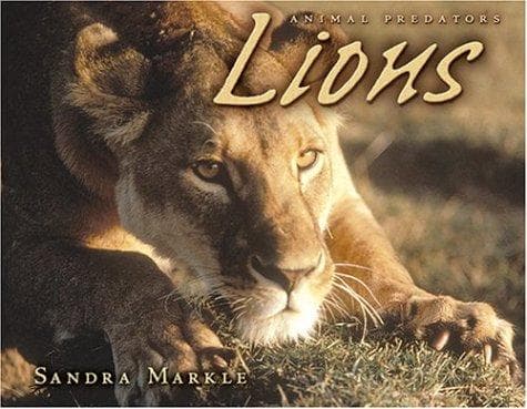 Tapa de Lions (Animal Predators)