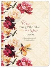 Tapa de PRAY THROUGH THE BIBLE IN A YEAR