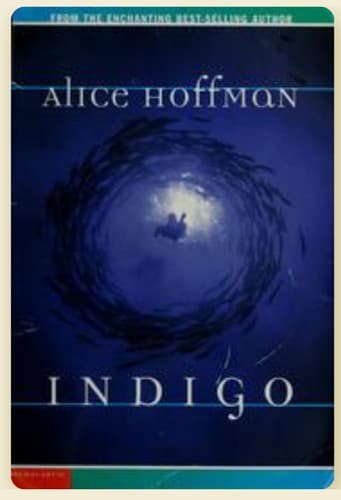 Tapa de Indigo