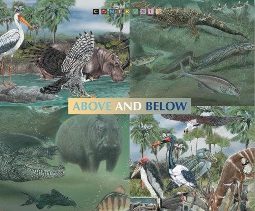 Tapa de Animals above and below water