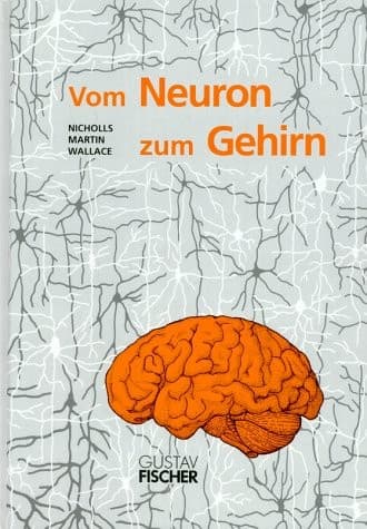 Tapa de Vom Neuron zum Gehirn: Zum Verständnis der zellulären und molekularen Funktion des Nervensystems (German Edition)