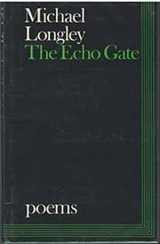 Tapa de The echo gate