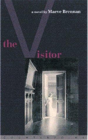 Tapa de The visitor