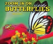 Tapa de Zoom in on Butterflies (Zoom in on Insects!)