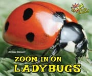 Tapa de Zoom in on Ladybugs (Zoom in on Insects!)
