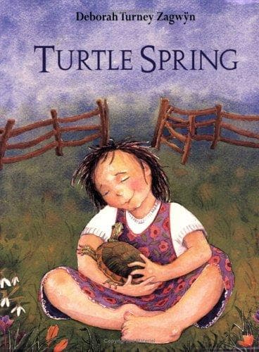 Tapa de Turtle Spring