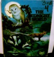Tapa de The midnight world