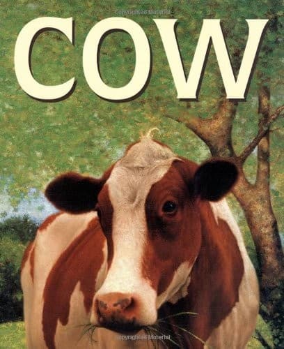Tapa de Cow