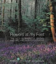 Tapa de Flowers at My Feet
