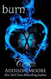 Tapa de Burn (Celestra Series Book 3)