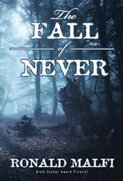 Tapa de The Fall of Never