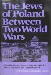 Tapa de The Jews of Poland between two world wars