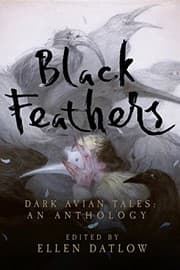Tapa de Black Feathers: Dark Avian Tales: An Anthology