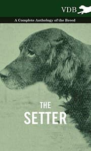Tapa de The Setter - A Complete Anthology of the Breed