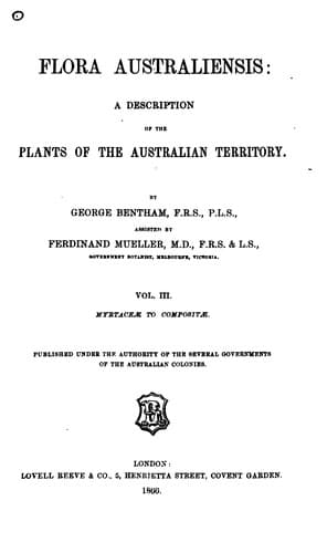 Tapa de Flora australiensis