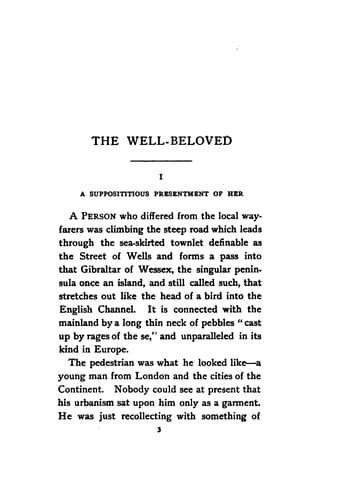 Tapa de The Well-beloved