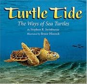 Tapa de Turtle tide