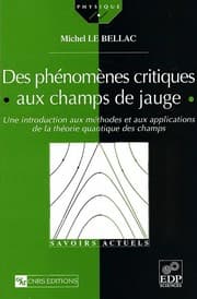 Tapa de Des phe nome nes critiques aux champs de jauge