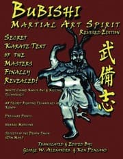 Tapa de Bubishi Martial Art Spirit