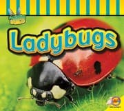 Tapa de Ladybugs (Fascinating Insects)