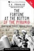 Tapa de The Fortune at the Bottom of the Pyramid