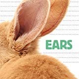 Tapa de Ears