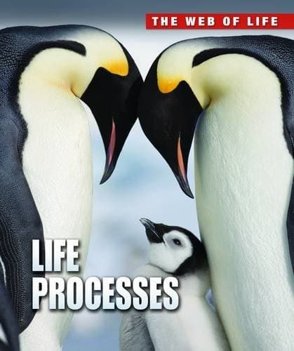 Tapa de Life Processes (Web of Life)