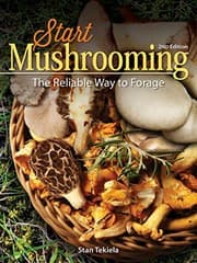 Tapa de Start Mushrooming