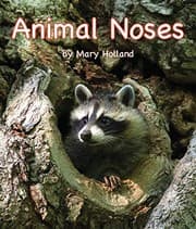 Tapa de Animal Noses