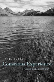 Tapa de Conscious Experience