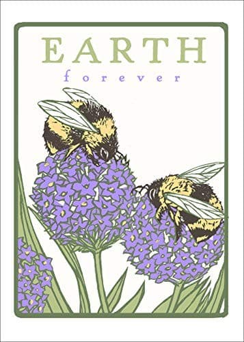 Tapa de Bumblebees : Earth Forever